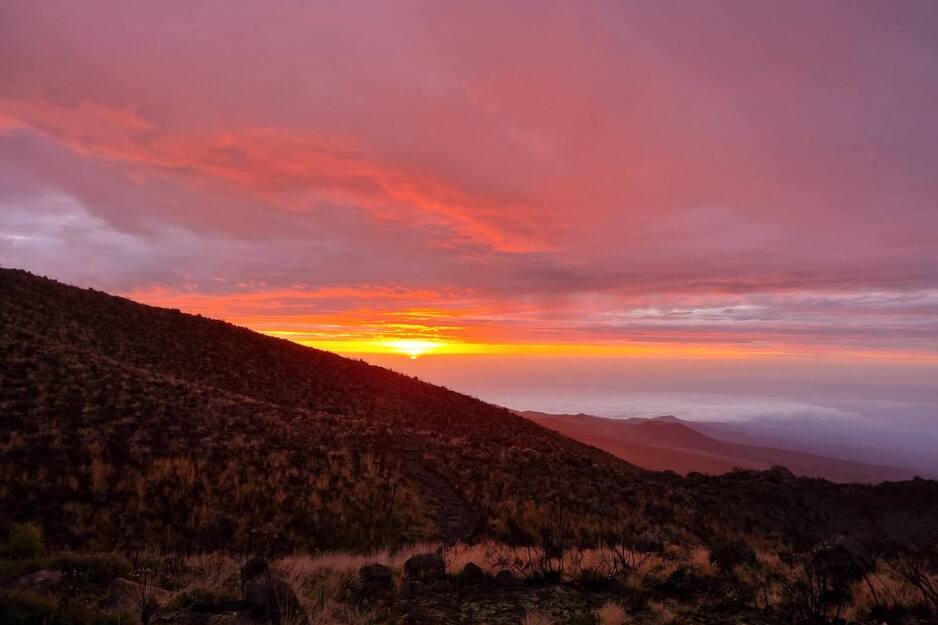 Kilimandžaro (Foto: Privatni arhiv)