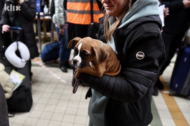 (Foto: T. S./Klix.ba)
