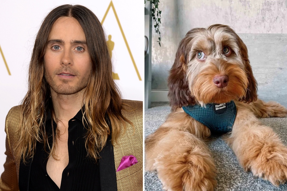 Jared Leto i pas Winston (Foto: EPA/Instagram)