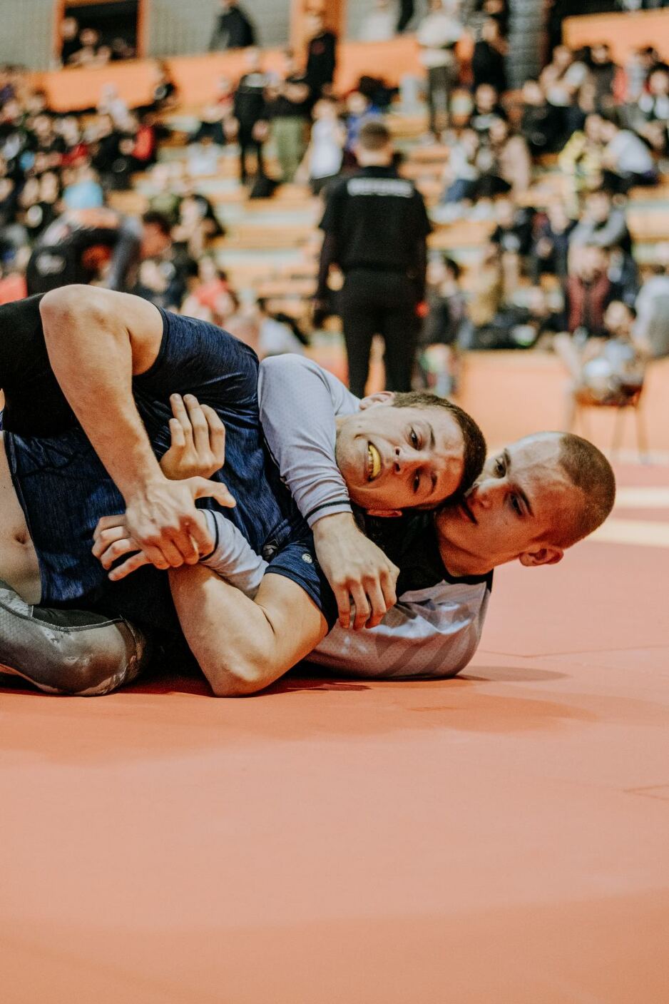 Najbolje plasirana akademija bila je BJJ Brotherhood Sarajevo sa 77 poena