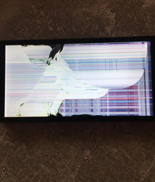 Razbijeni mobilni telefon (Foto: Liverpool Echo)