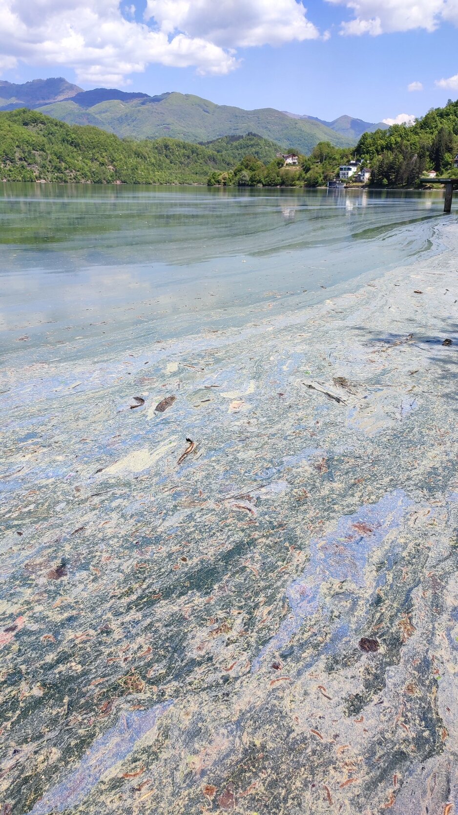 Zeleni Neretva Konjic