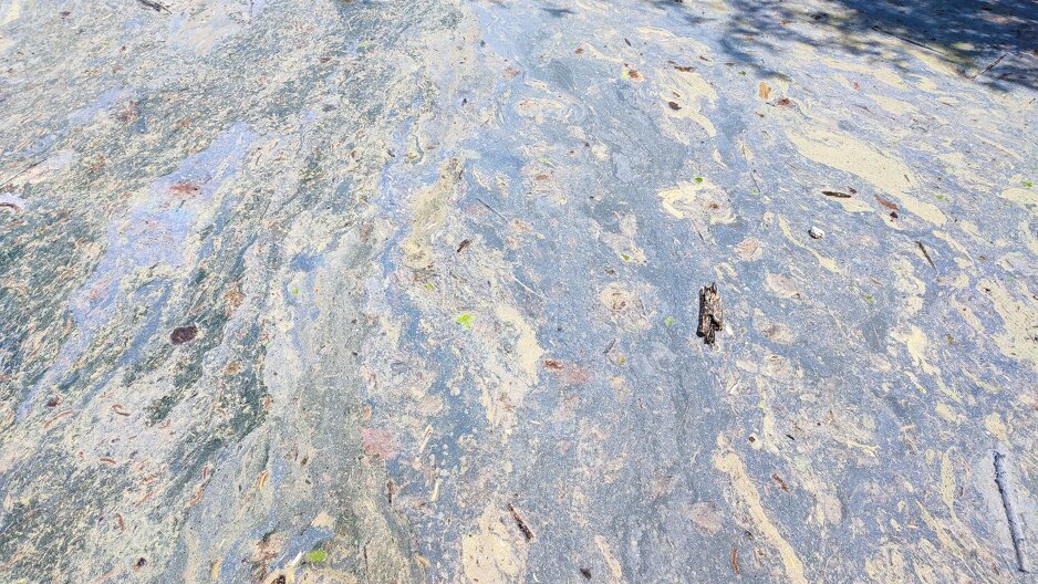 Zeleni Neretva Konjic