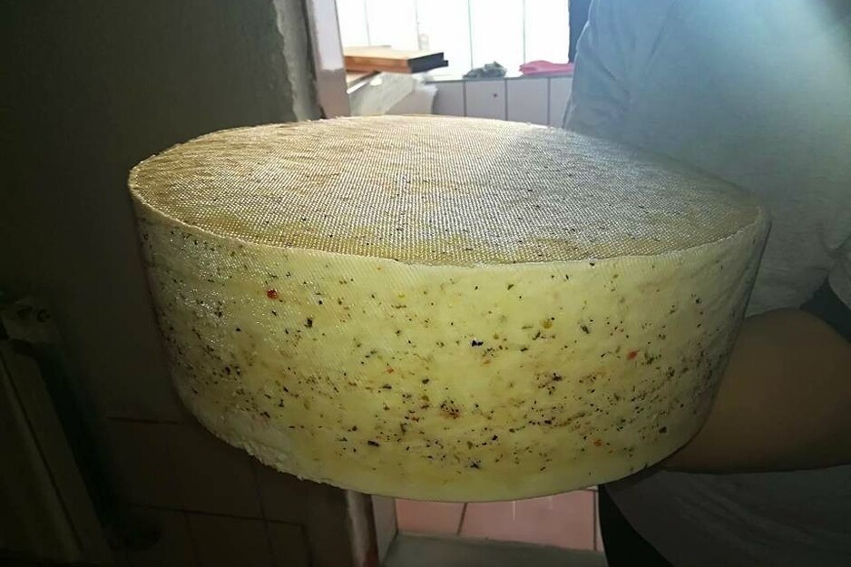 Foto: Screenshot/YouTube/Srećko Stipović