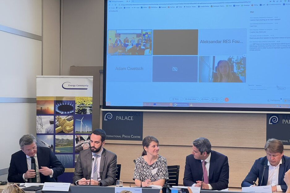 Izvršni direktor EP BiH Senad Salkić na panelu (Foto: EP BiH)