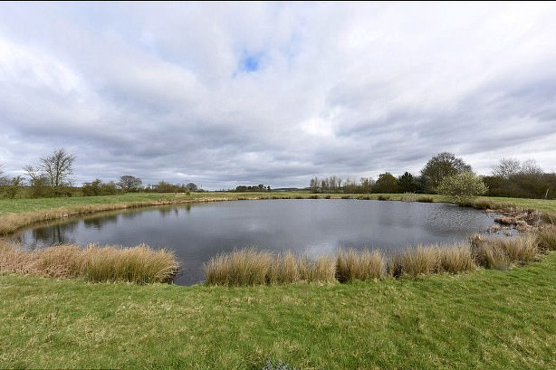 Danas nema ni traga od travnate kućice Teletabisa (Foto: Caters News Agency)