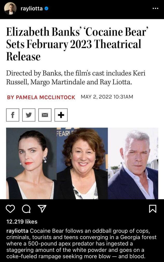 Screenshot: Instagram/rayliotta