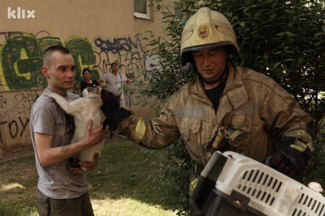 Vatrogasci spasili i dvije mačke (Foto: I. L./Klix.ba)