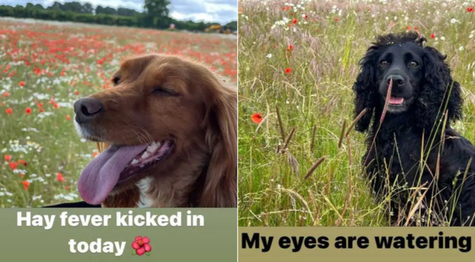 Objava Beckhama na Instagramu