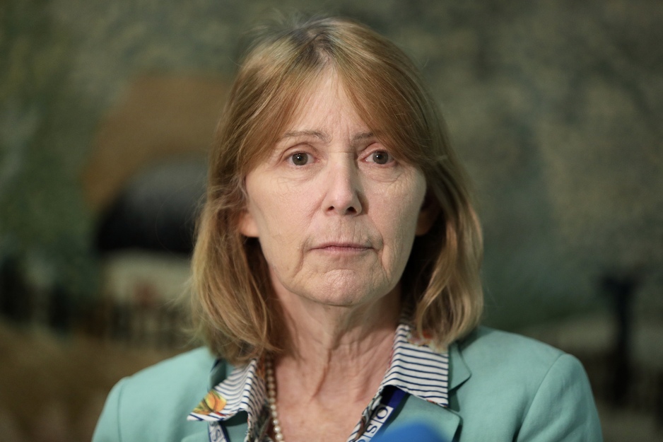 Ambasardorica OSCE-a u BiH Kathleen Kavalec (Foto: I. M./Klix.ba)