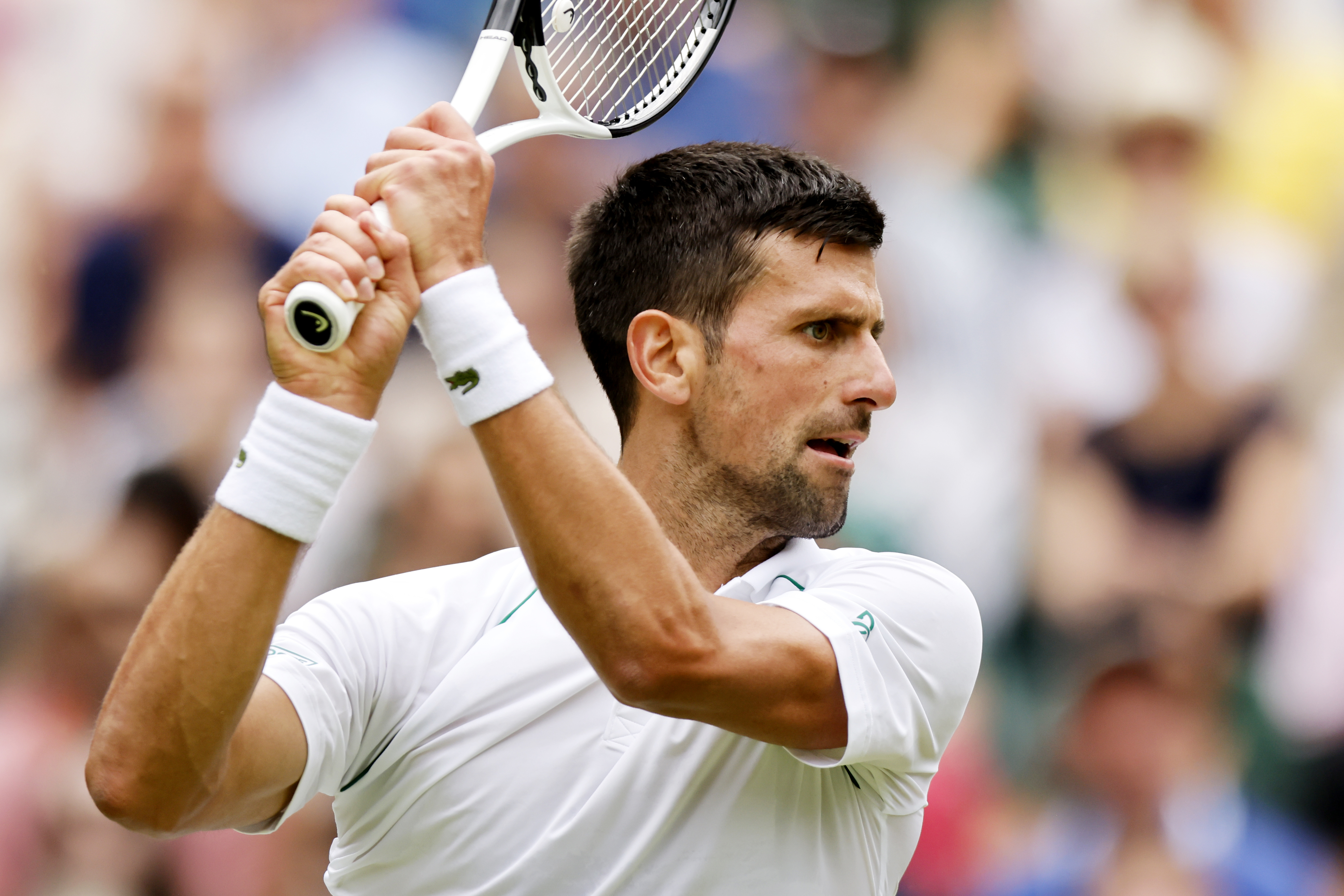 Novak Đoković (Foto: EPA-EFE)
