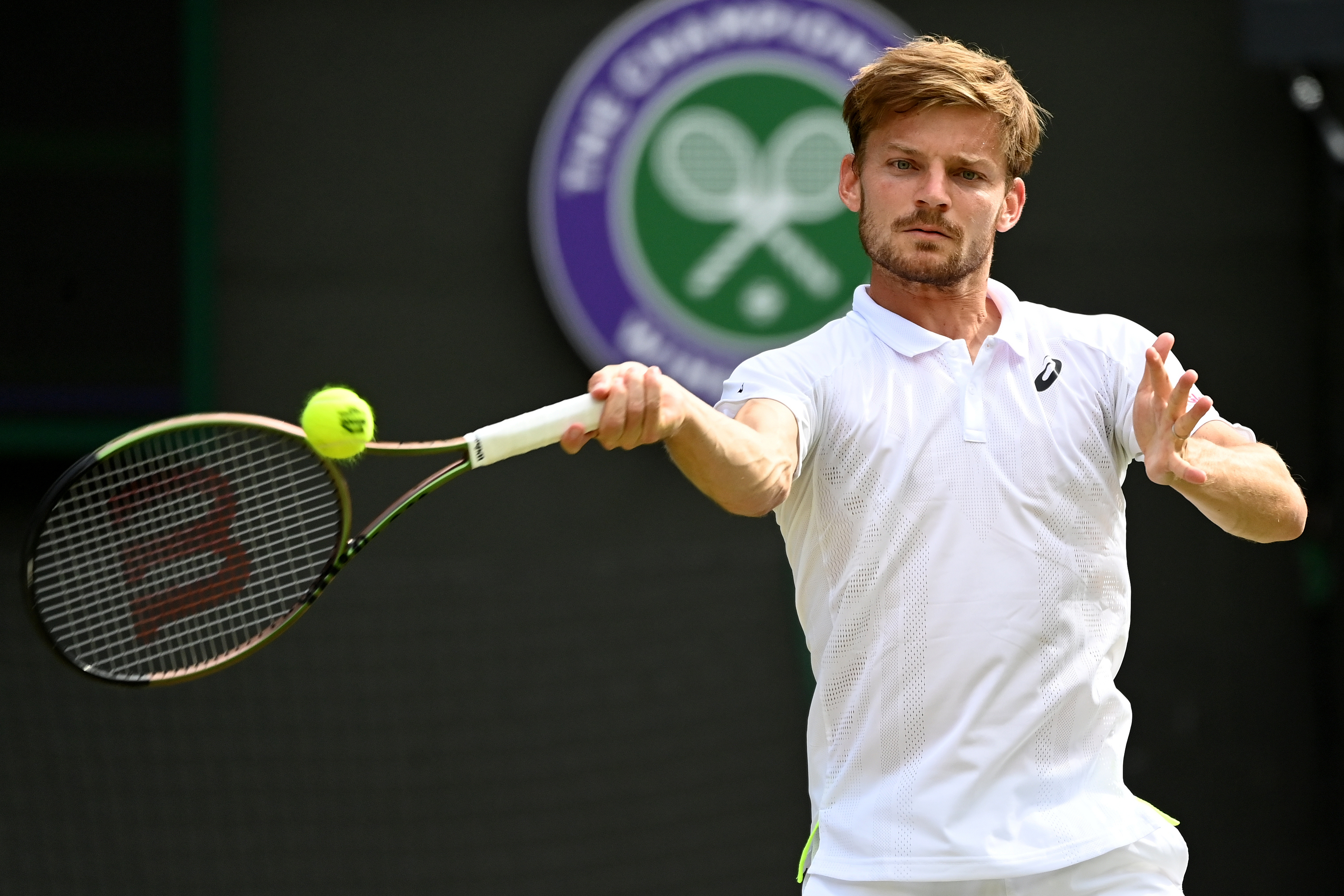 David Goffin (Foto: EPA-EFE)