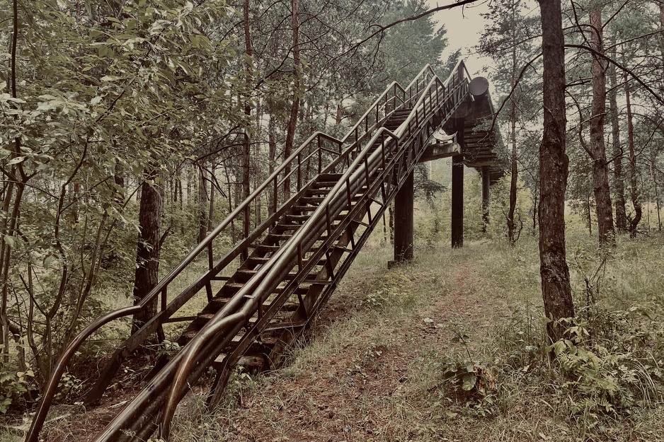 Most u četvrti Petrašiunai, Kaunas, Litvaniji