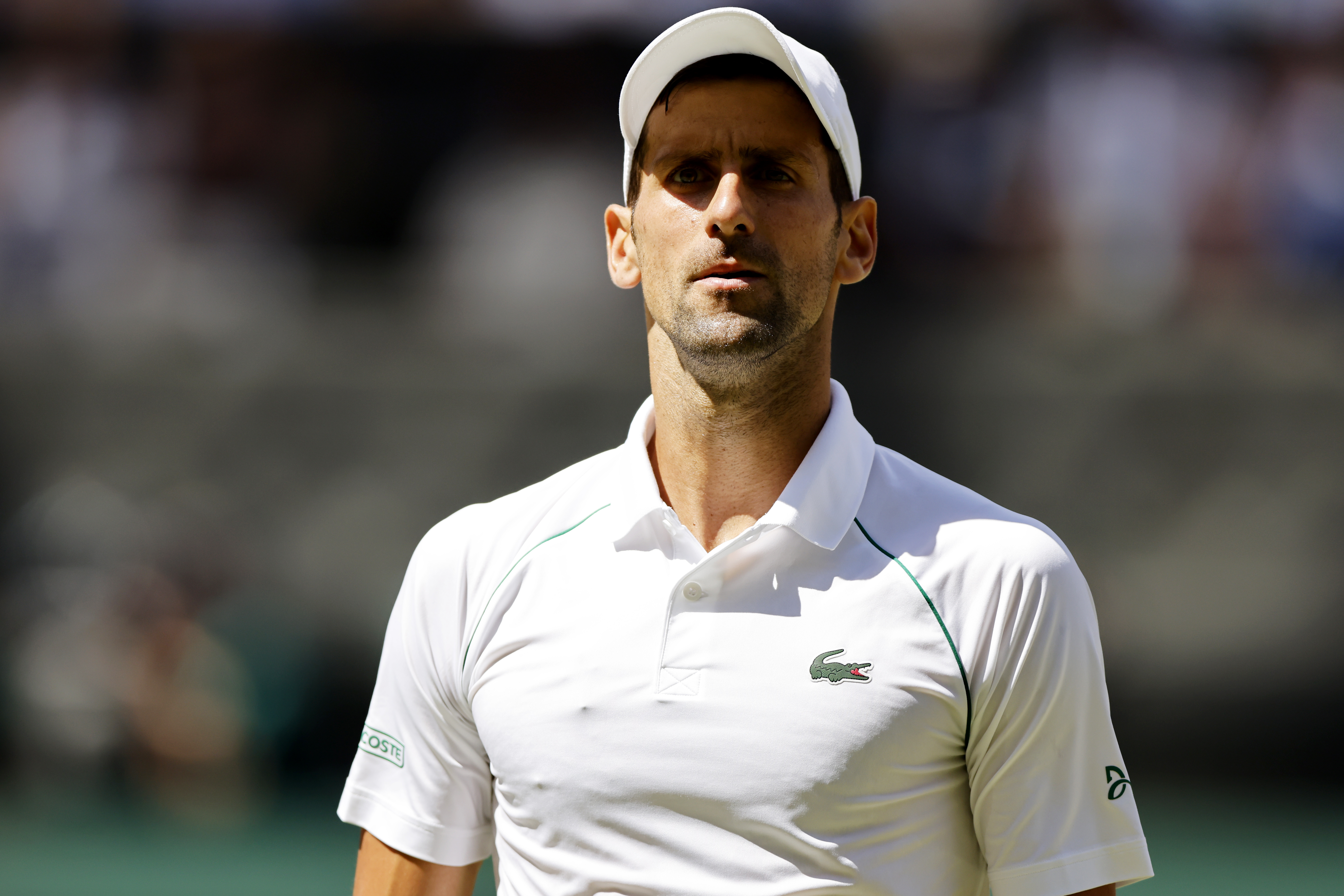 Novak Đoković (Foto: EPA-EFE)
