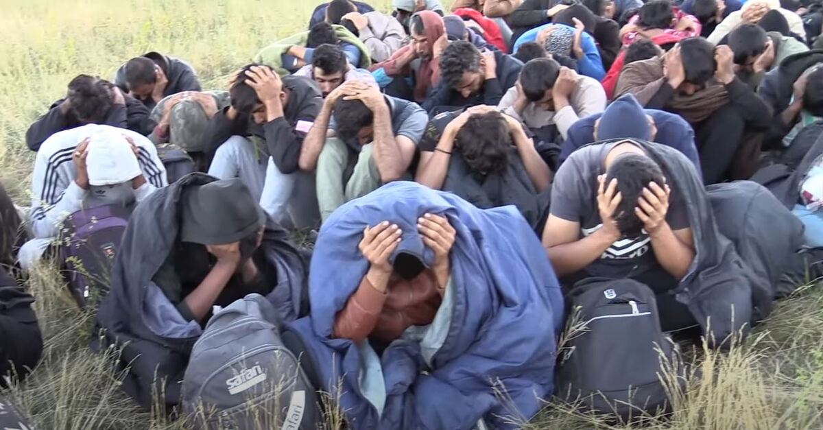 220717072.5_xxl.jpg?v=1