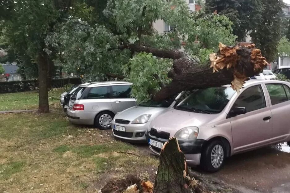 Foto: Facebook/Kragujevčani