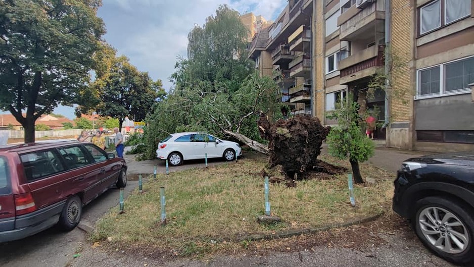 Foto: Facebook/Rešetka.rs