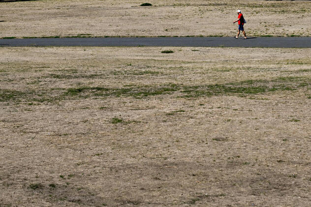Uništena trava na polju u Berlinu, Njemačka (Foto: EPA-EFE)