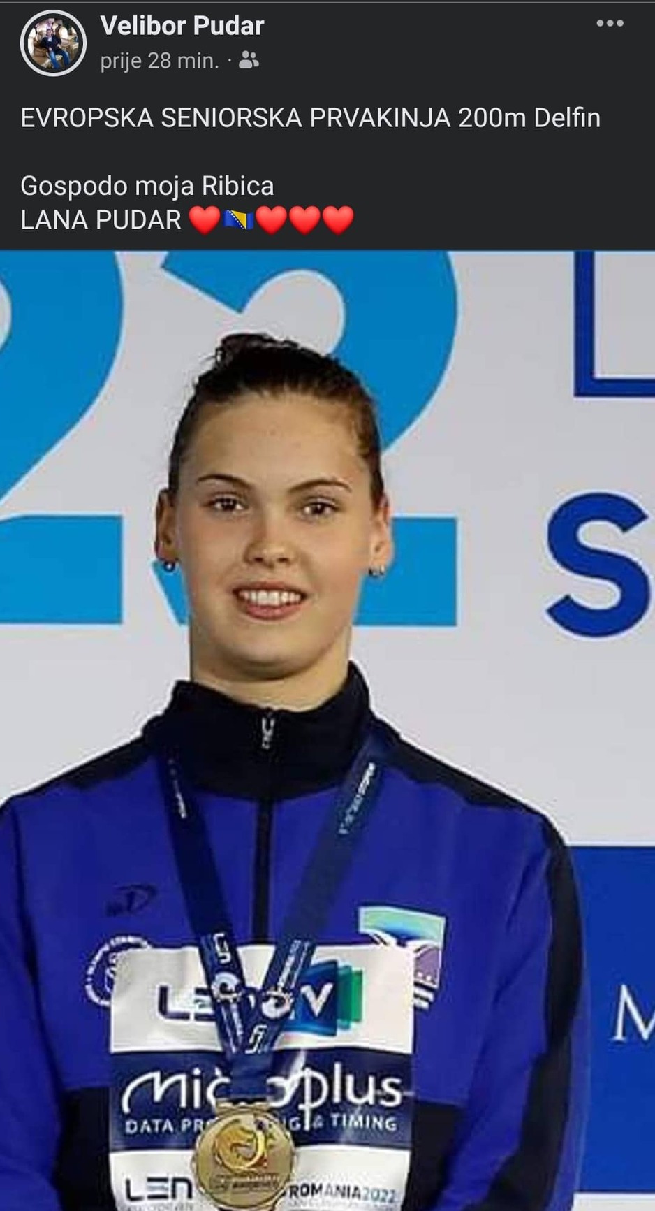 Status Velibora Pudara na Facebooku (Foto: Screenshot)