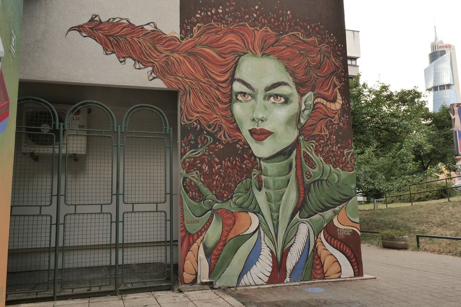 Mural u naselju Marijin dvor, naslikan tokom Fasada festivala 2021. godine (Foto: Facebook/Fasada festival)