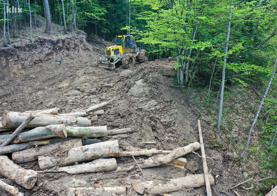 Foto: Karton revolucija