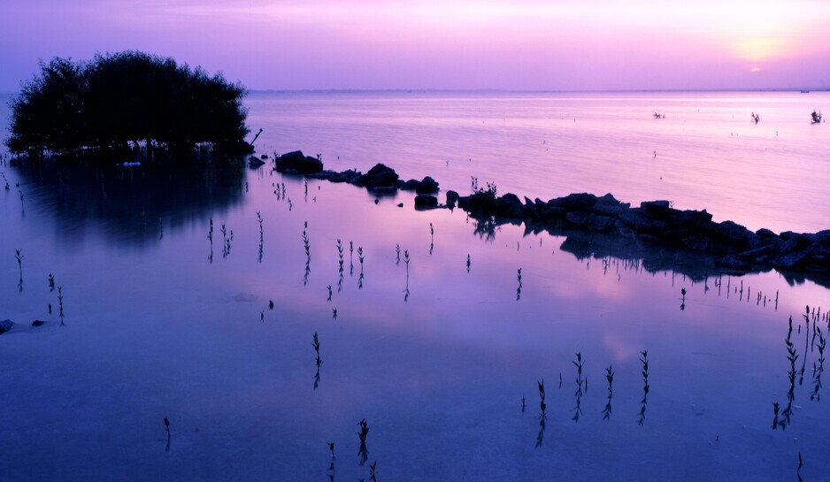 Ljubičasti Otok (Foto: www.qatar2022.qa)