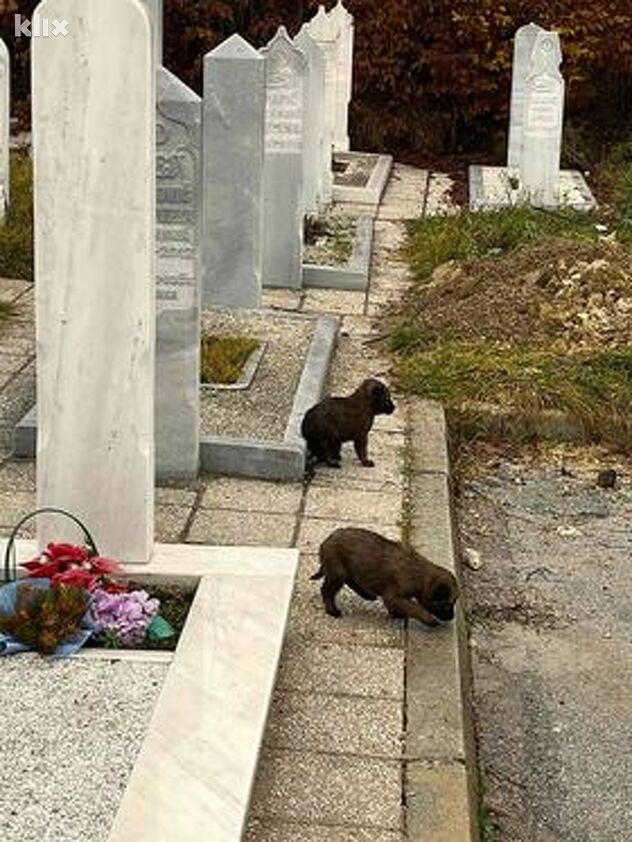 Foto: Čitatelj