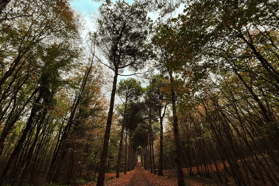 Priroda ovdje je čudesna