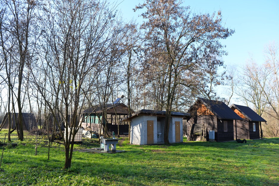 Akcija