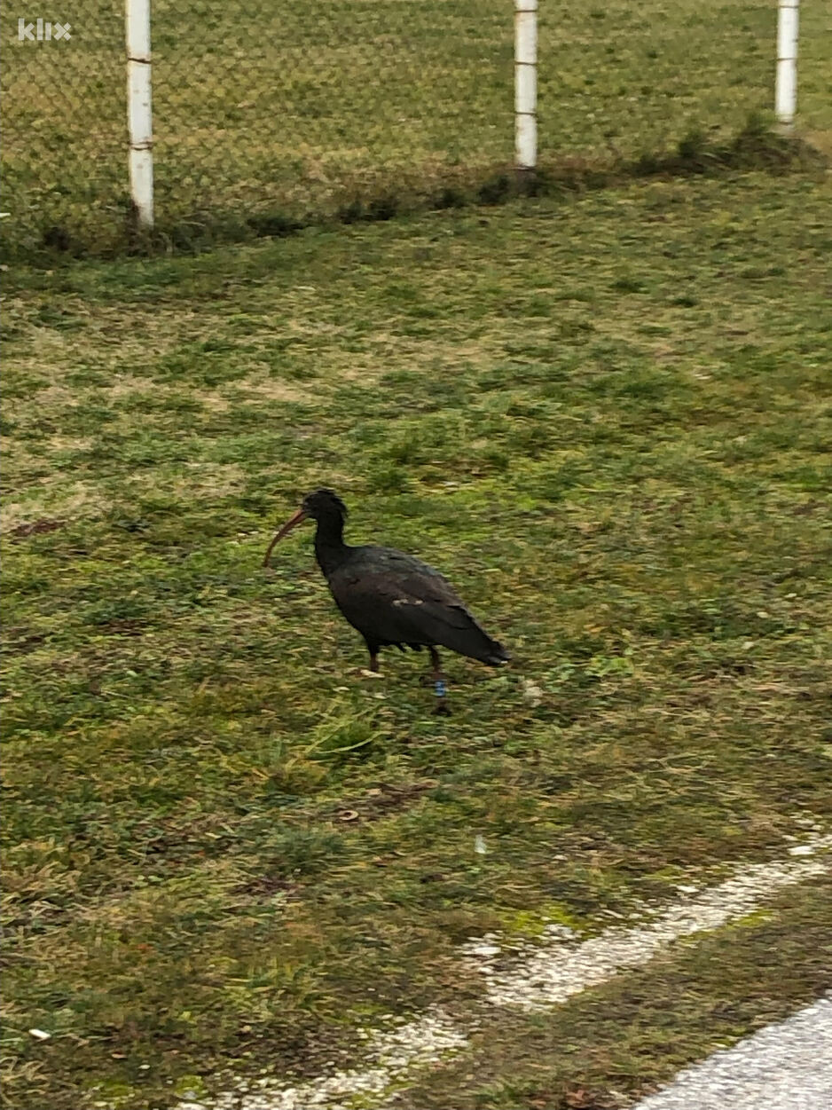 Foto: Čitatelj