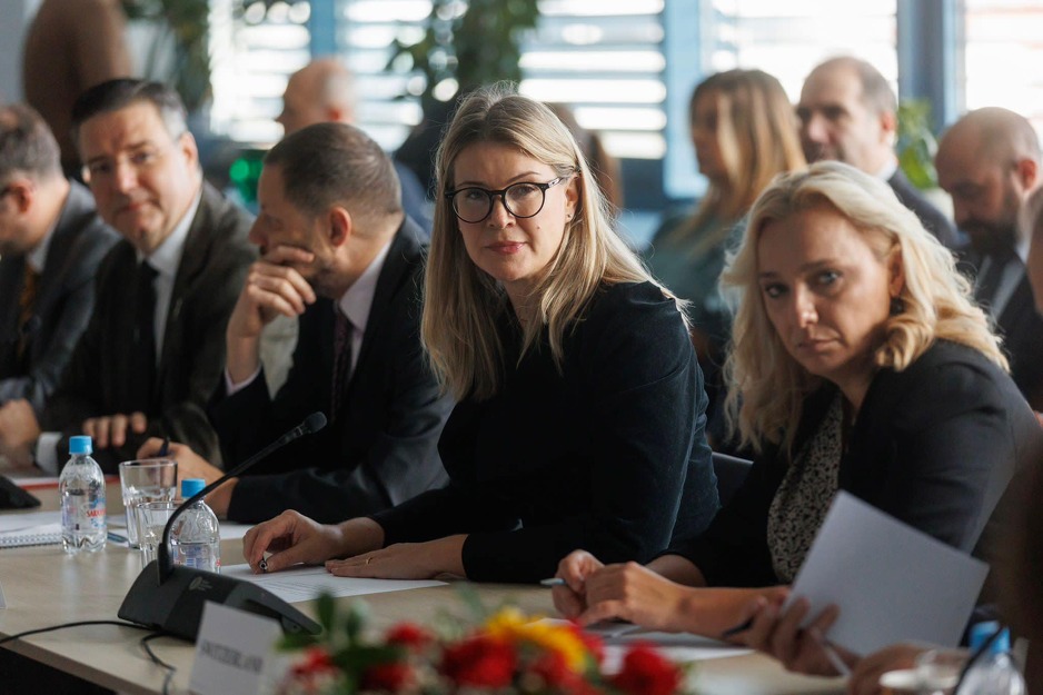 Švedska ambasada tokom 2022. godine učestvovala u nizu projekata (Foto: Ambasada Švedske)