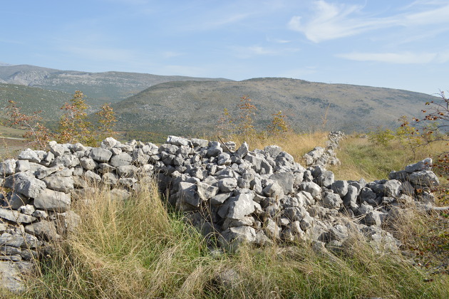 Tumuli kod Blagaja (Foto: Institut za arheološka istraživanja)
