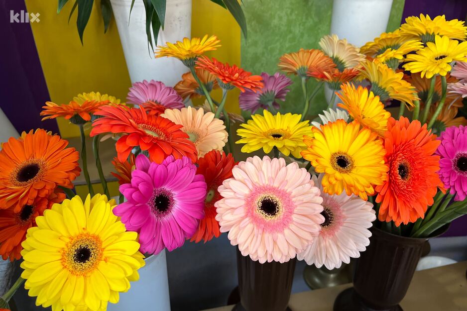 Obišli smo cvjećare u Sarajevu