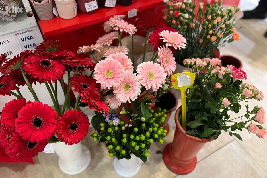 Obišli smo cvjećare u Sarajevu