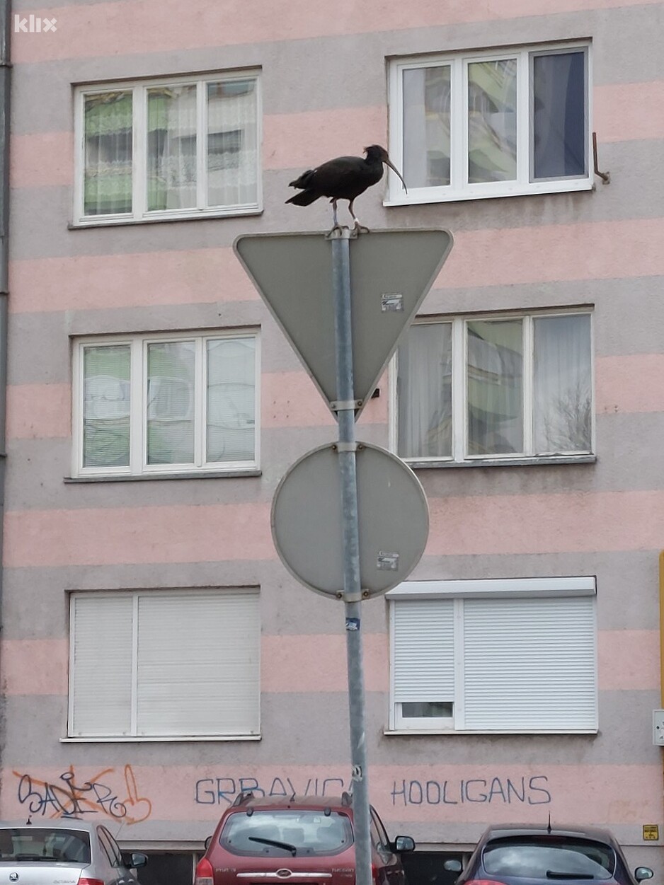 Foto: Čitatelj