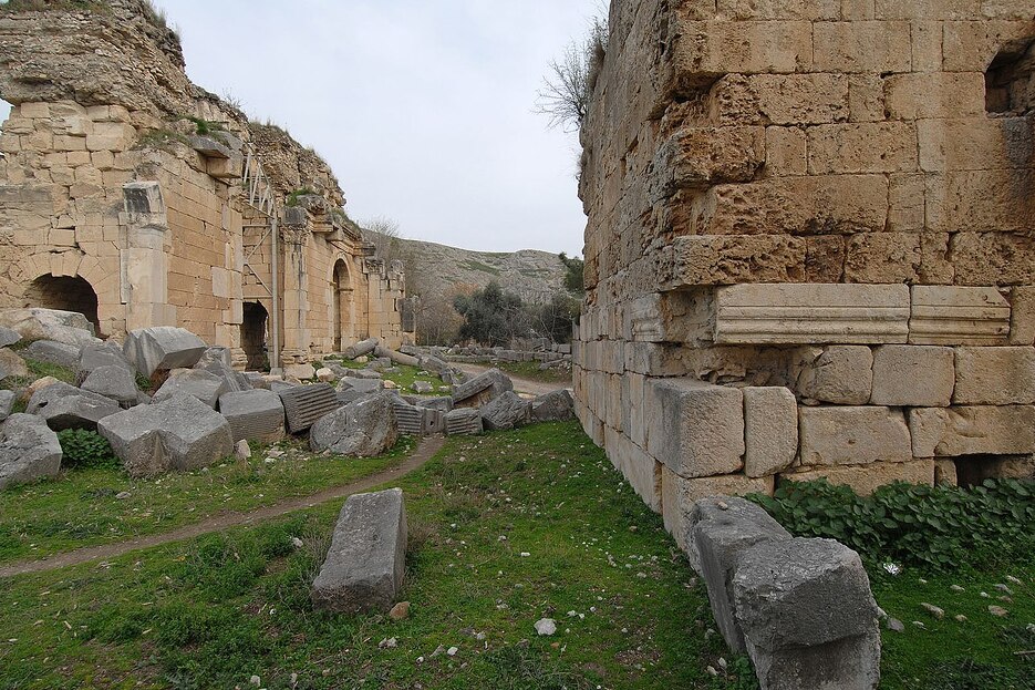 Trijumfalna kapaija (Foto: Wikimedia Commons)