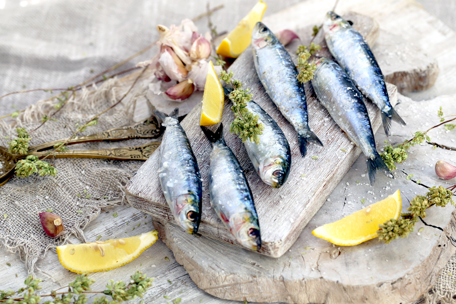 Sardine kriju brojne prednosti (Ilustracija: Shutterstock)