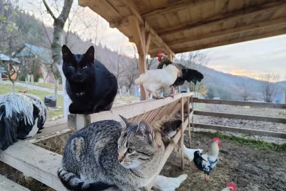 Dječiji slikarski konkurs Malak Farme