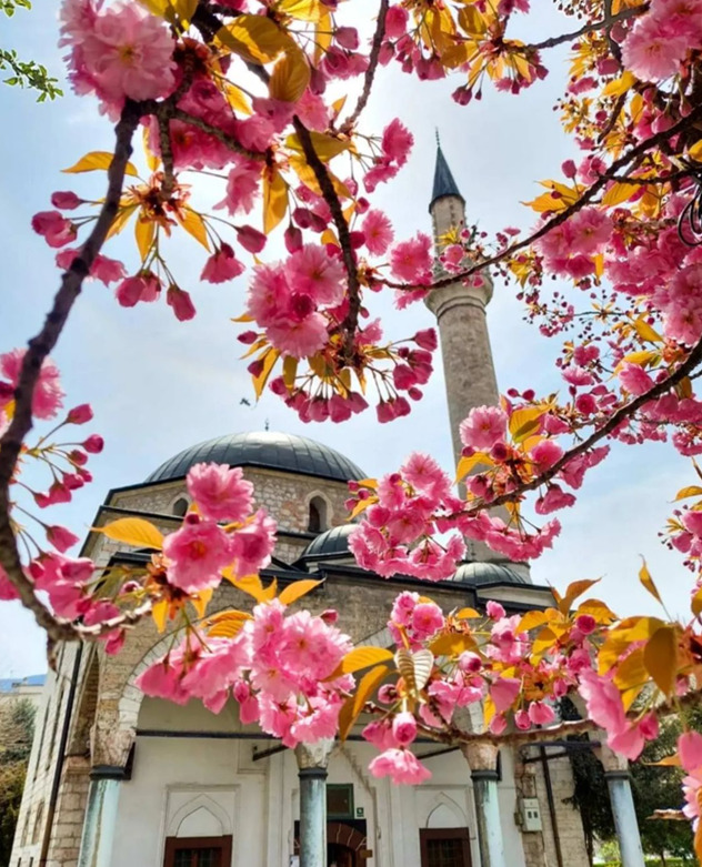 Ali-pašina džamija (Foto: Instagram/trybosnia)