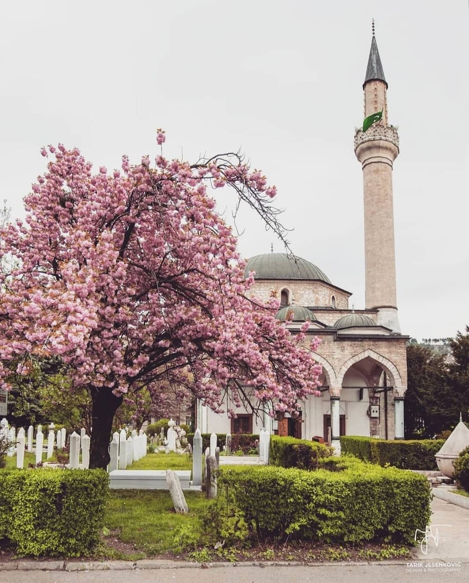 Ali-pašina džamija (Foto: Instagram/