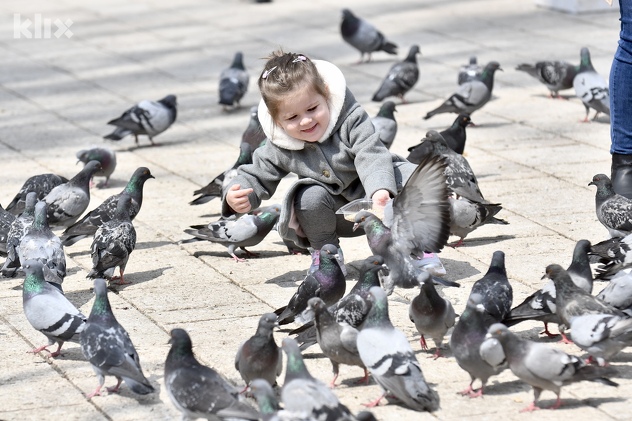 (Foto: T. S./Klix.ba)