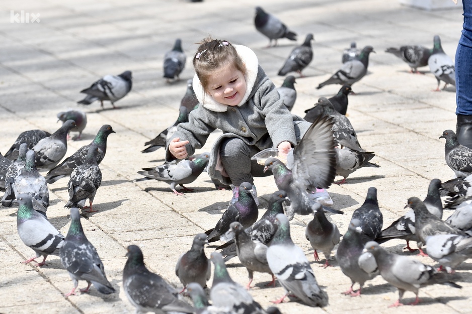 Foto: T. S./Klix.ba