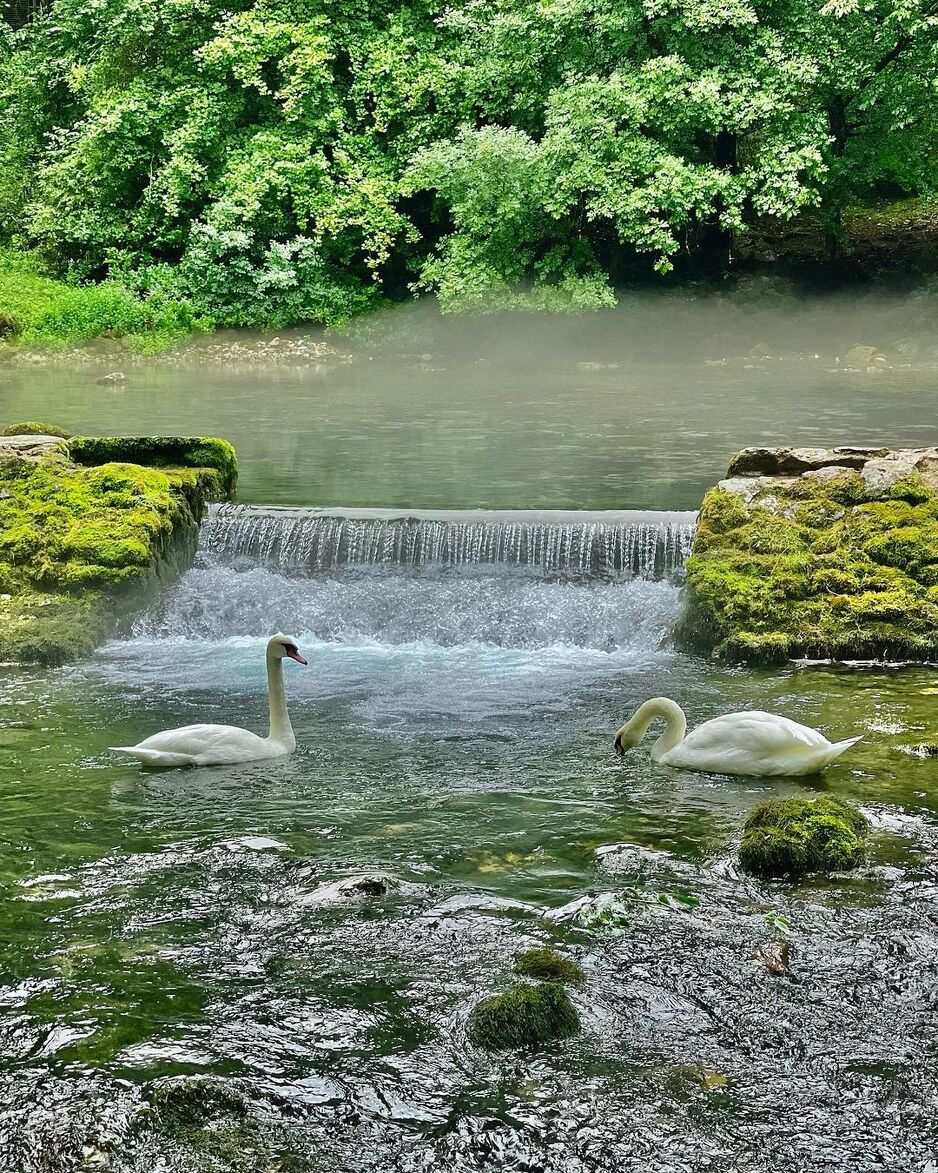 Vrelo Bosne (Foto: Instagram/maithoka)
