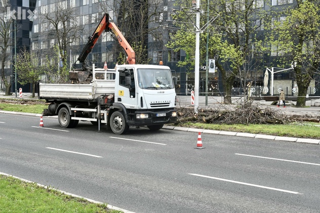 Posječen drvored uz tramvajsku prugu u Novom Sarajevu (Foto: D. S./Klix.ba)