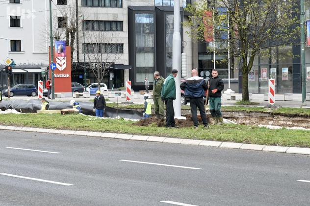 Posječen drvored uz tramvajsku prugu u Novom Sarajevu (Foto: D. S./Klix.ba)