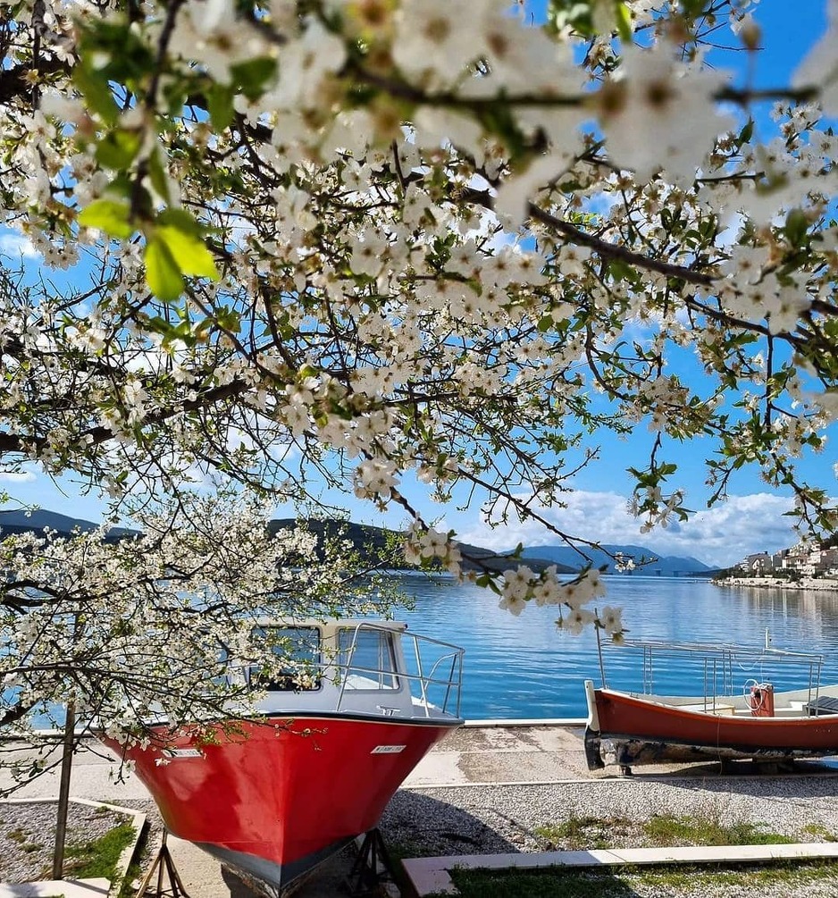 Tura brodićem je poseban doživljaj (Foto: Instagram/eminaniksic)