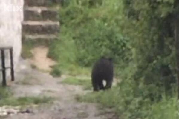 Foto: Čitatelj/Klix.ba