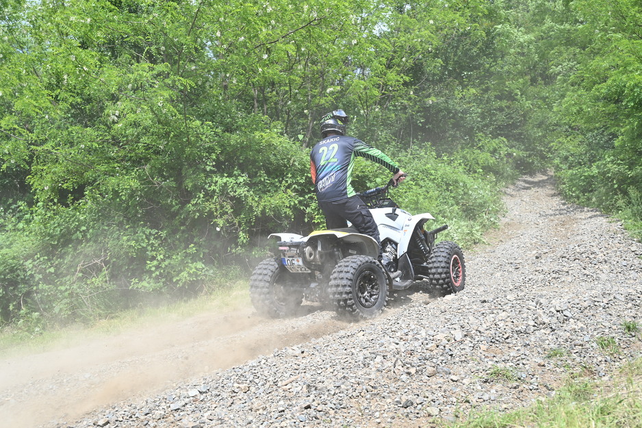 Mozzart i Quad Week