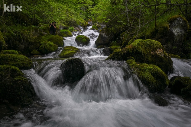 Foto: Vladimir Tadić