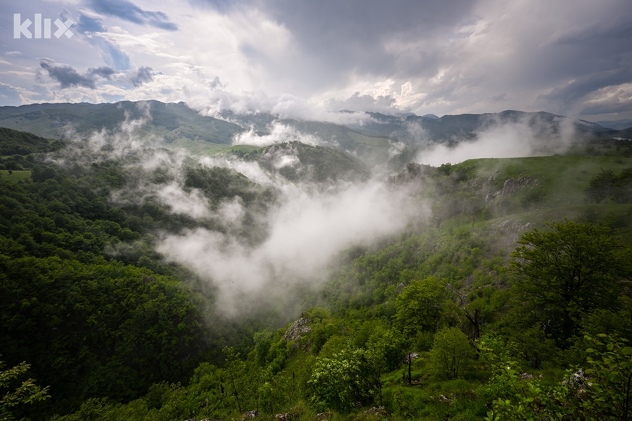 Foto: Vladimir Tadić